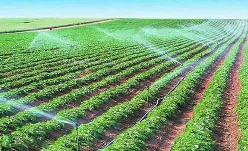 插B在线免费视频农田高 效节水灌溉